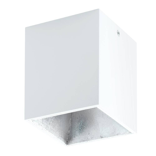 Polasso plafond (Vit)