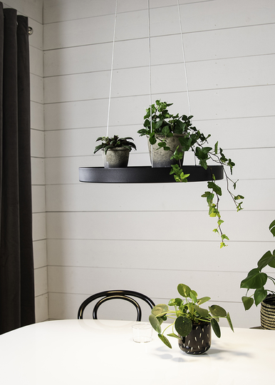PLATE - Black