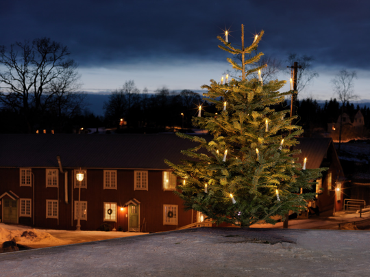 Julgransbelysning 16 DC LED (Vit)
