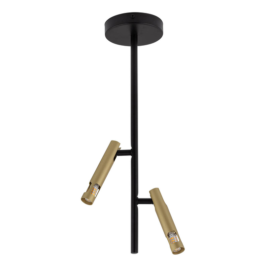 Takspot Leda Mini 2, 2 lampor, svart, guld