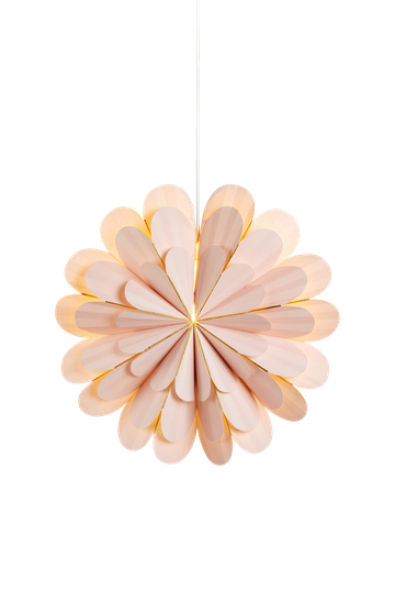 MARIGOLD - Pink 45