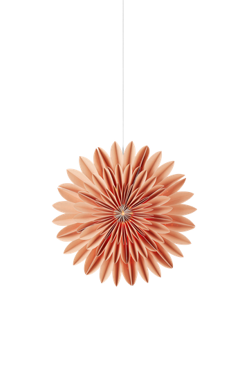 CORNELIA - Light Brown 44