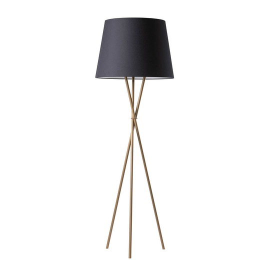 Ozonos Hailey AC- 1 LED-golvlampa guld/svart