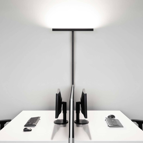 Molto Luce Concept Double F sensor vit