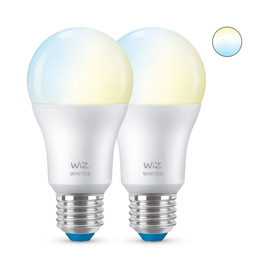 E27 60W Wiz Normal X2