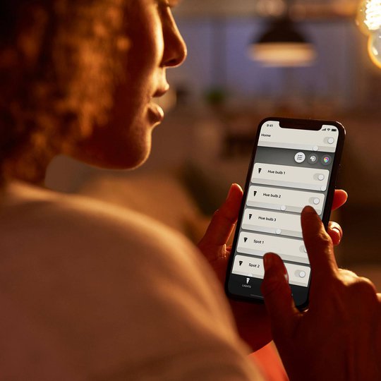 Philips Hue White E27 filamentlampa Rustika ST64
