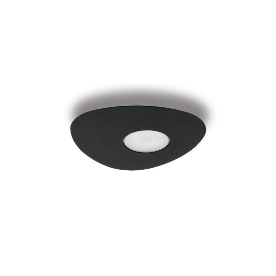 Taklampa Organic, 1 lampa, svart