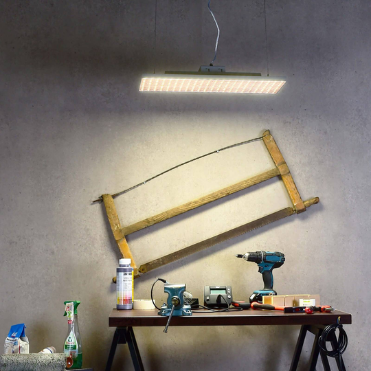 LED-hänglampa Draconis, CCT/Multipower, vit