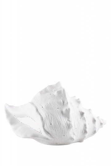 Seashell bordlampa (Vit)