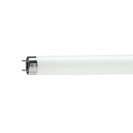 G13 T8 36W lysrör MASTER TL-D Graphica 950
