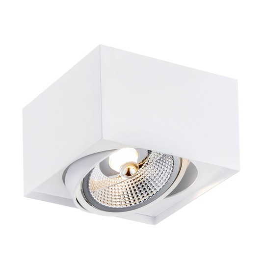 Takspotlight Ronda, 1 lampa, vit