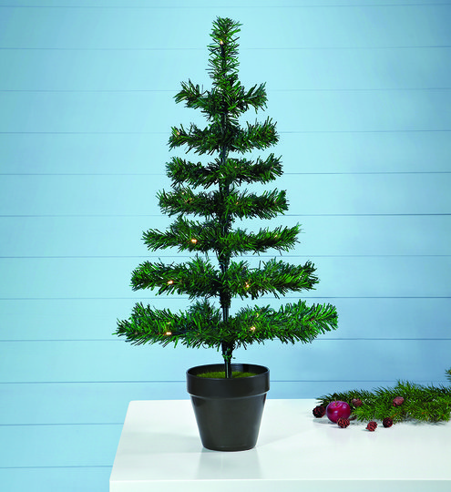 MAGGI - Christmas Tree 70
