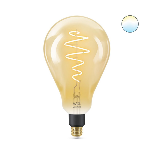 E27 25W Wiz Fil Amb Glob160