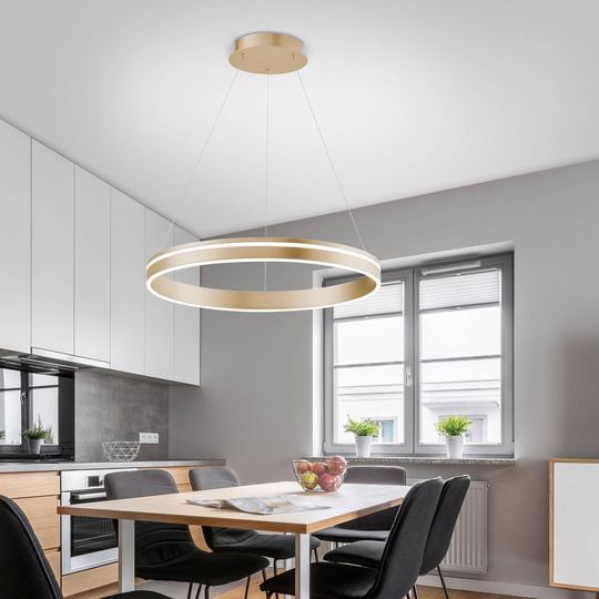 Paul Neuhaus Q-VITO LED-pendellampa, 1 ring