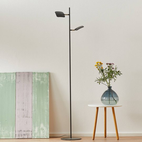 LED-golvlampa Raggio, 2 lampor, svart