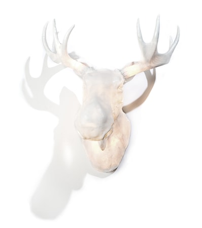 Moo wall lamp