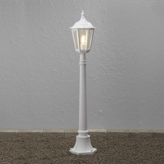 Gatlampa Firenze, vit