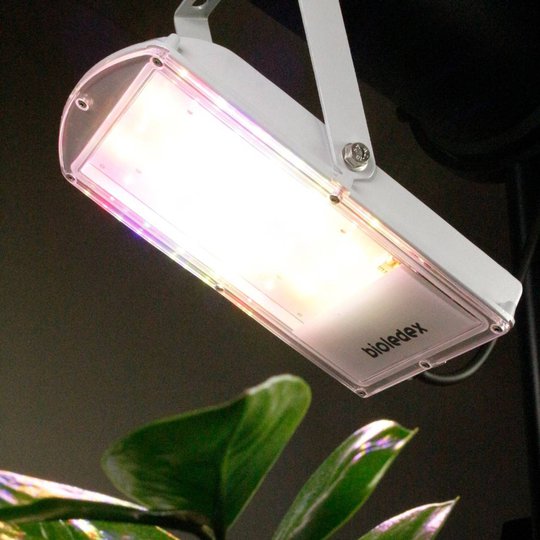 LED-plantlampa GoLeaf 28 W S2 stamtillväxt