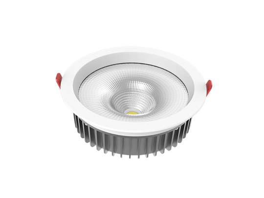 Downlight WLD-R20 3000K (Vit)