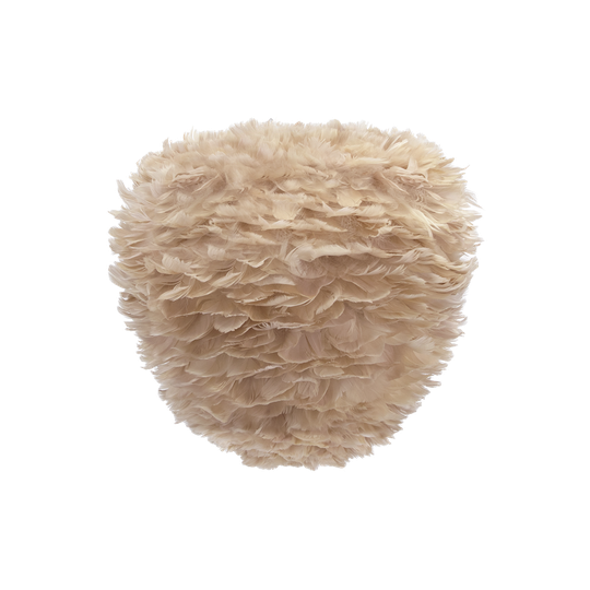 Eos Evia meduim