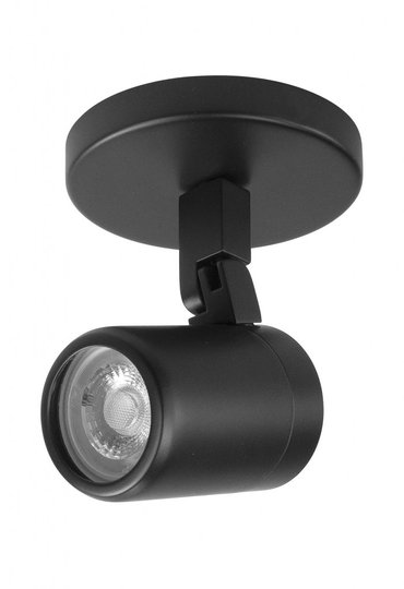 Rain Spotlight (Vit)