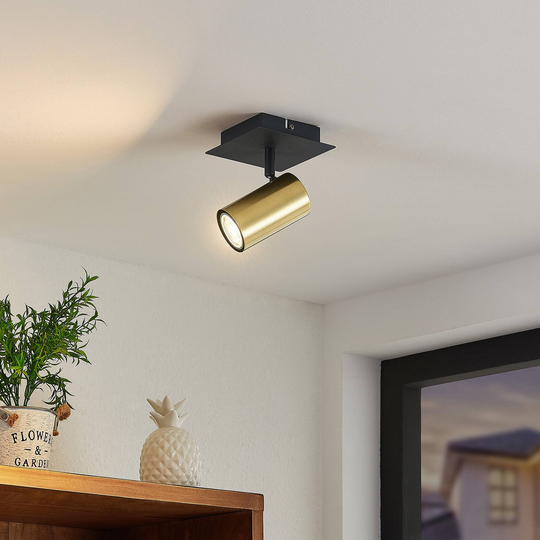 Lindby Raisan spotlight av järn, 1 lampa