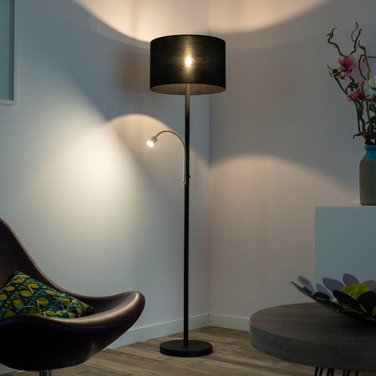 Paul Neuhaus Robin golvlampa med läsarm, svart
