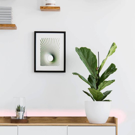 EGLO connect Stripe-C LED-list RGBW 300 cm