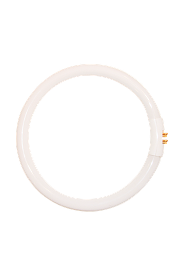CIRKELLYSRÖR 22W