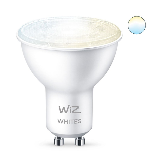 E27 50W Wiz
