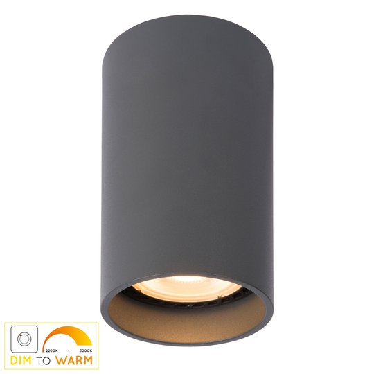 LED-taklampa Delto dim to warm, rund, grå