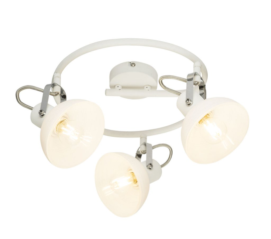 Amory spotlight (Vit)