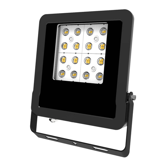 EVN Panthera utomhus LED-spot IP65 30 W 4 000 K