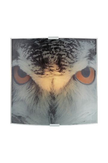 OWL - Wall