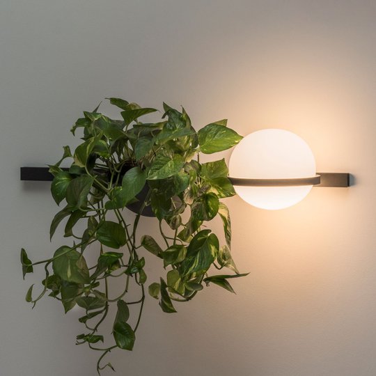 Vibia Palma 3702 vägglampa, växtskål, grafit