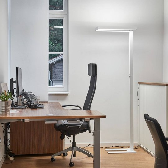 Logan - LED-kontorsgolvlampan med dimmer i vitt