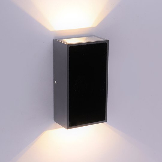 Paul Neuhaus Q-DARWIN LED-utomhusvägglampa