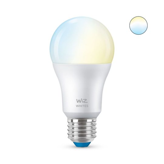 E27 60W Wiz Normal