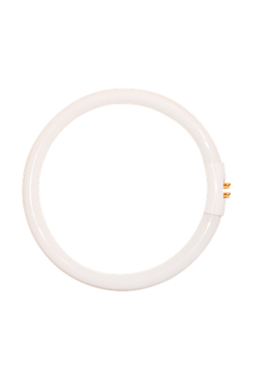 CIRKELLYSRÖR 22W