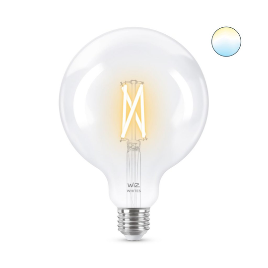 E27 60W Wiz Fil Glob 120