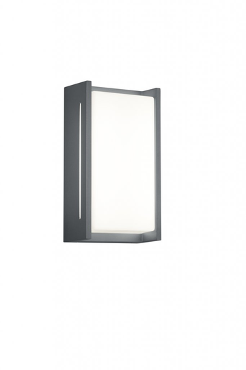 Indus LED vägglampa