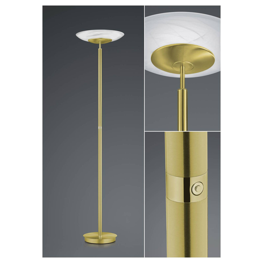 B-Leuchten Findus LED-golvlampa 1 lampa mässing