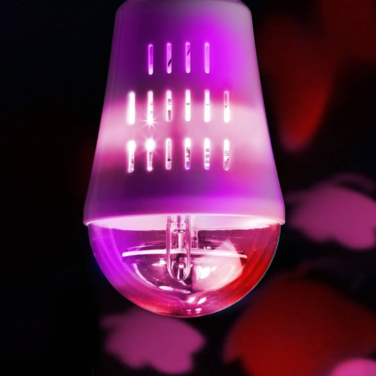E27 4W LED-dekorationsljuskälla ”fjärilar” 360°