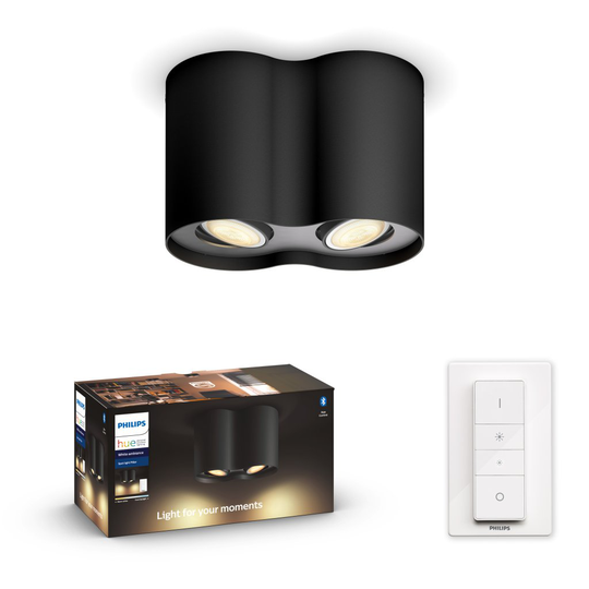 Hue Pillar dubbel spot (Svart)