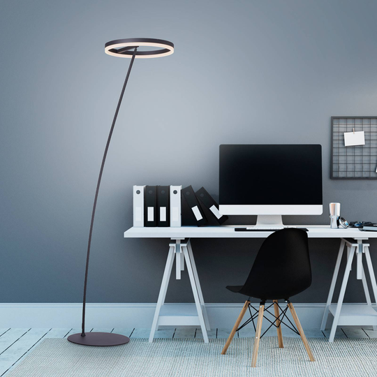 Paul Neuhaus Titus LED-golvlampa antracit dimmer