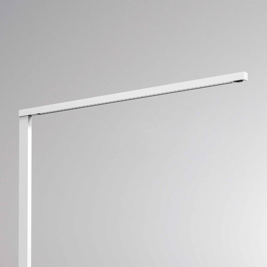 Molto Luce Lens Short Double F dimbar svart