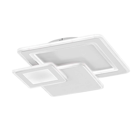 Mola plafond (Vit)