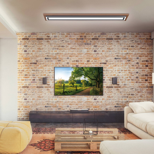 Paul Neuhaus Palma LED-taklampa CCT lång