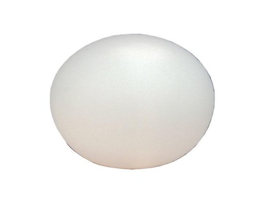 Globus (Vit)