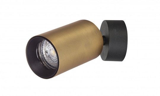 Inus spot (Guld)